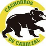 cachorros