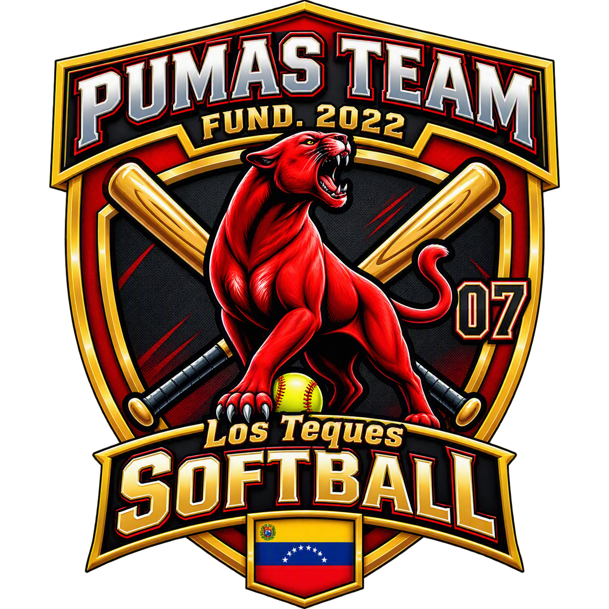Pumas Team